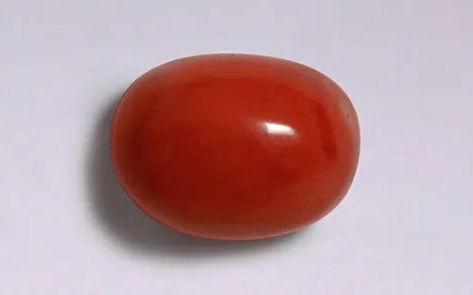 Red Coral - 4.03 Carats