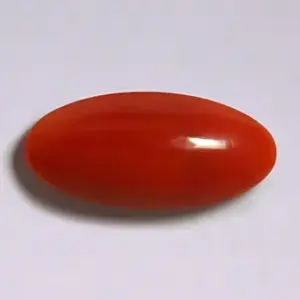 Red Coral - 3.30 Carats