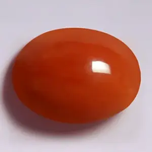Red Coral - 3.28 Carats