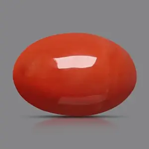 Red Coral - 3.50 Carats