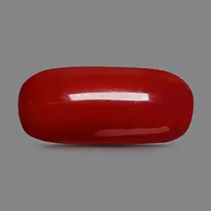 Red Coral - 3.33 Carats