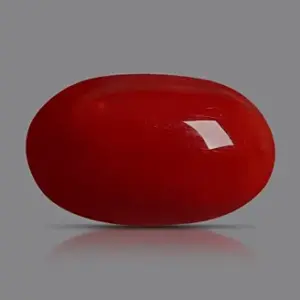 Red Coral - 3.36 Carats
