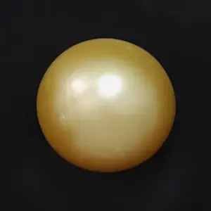 Golden South Sea  - 14.70 Carats