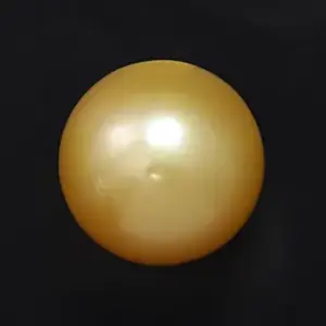 Golden South Sea  - 11.66 Carats