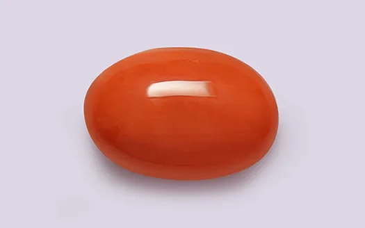 Red Coral - 3.98 Carats