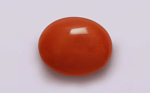 Red Coral- 3.24 Carats