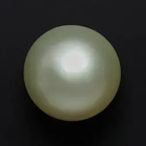 Golden South Sea- 8.34 Carats