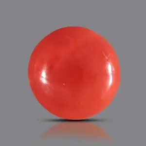 Red Coral- 4.04 Carats