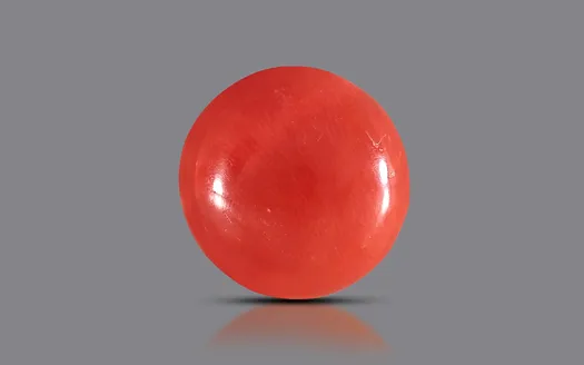 Red Coral- 4.04 Carats