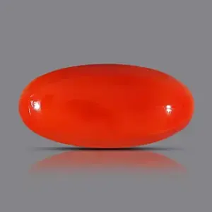 Red Coral - 3.71 Carats
