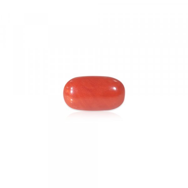 Red Coral - 10.90 Carat