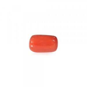 Red Coral - 21.52 Carat