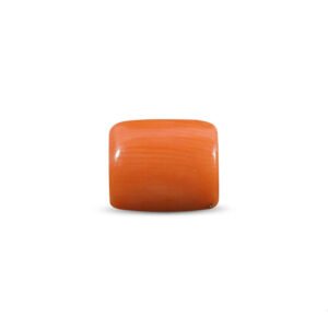 Red Coral (Moonga) - 4.40 Carat