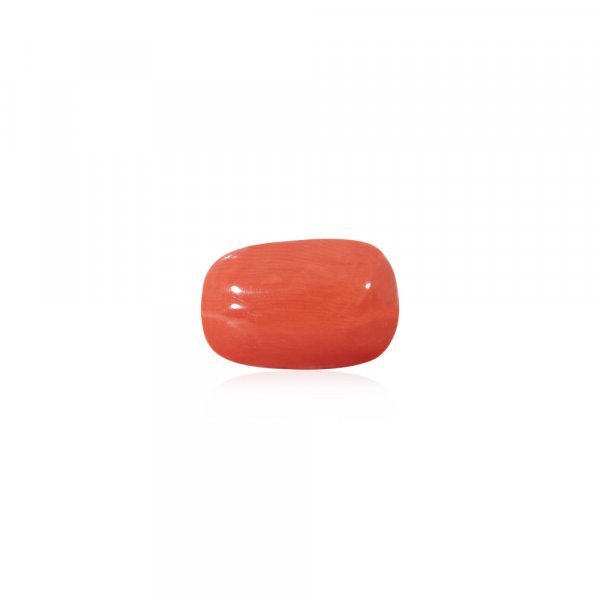 Red Coral - 11.67 Carat