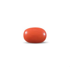 Red Coral - 11.92 Carat