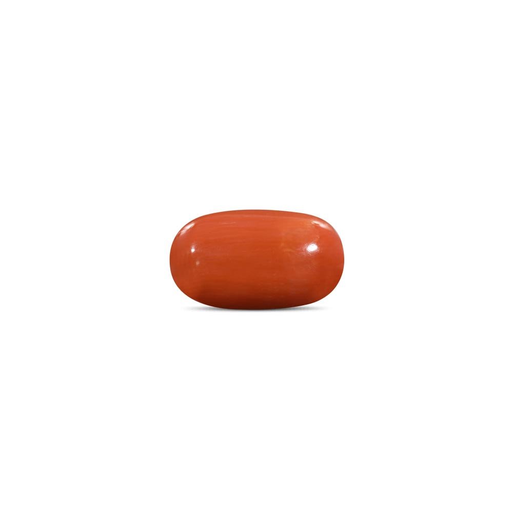 Red Coral - 12.39 Carat