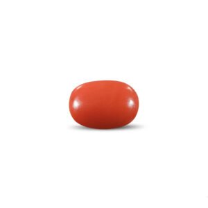 Red Coral - 12.97 Carat
