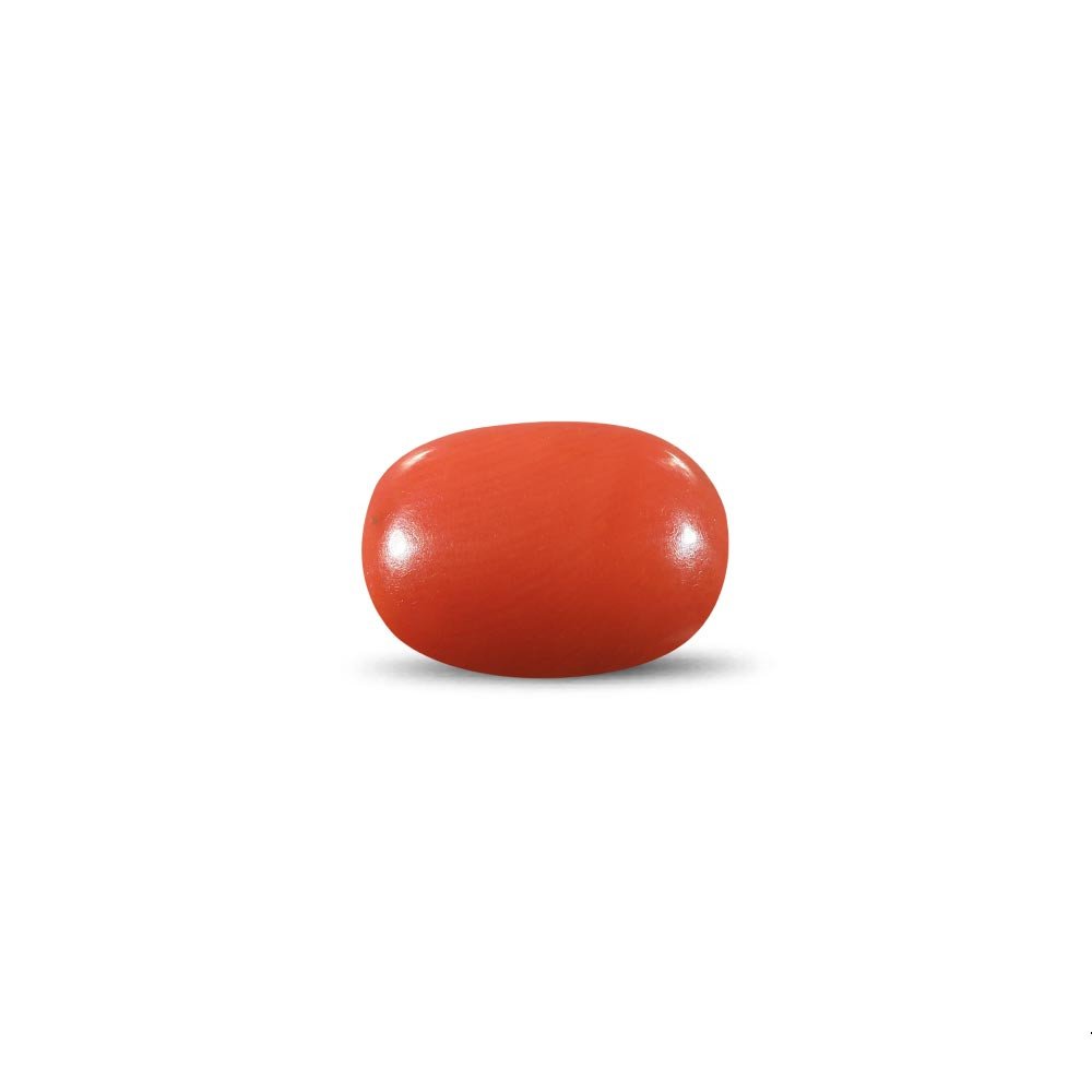 Red Coral - 12.97 Carat