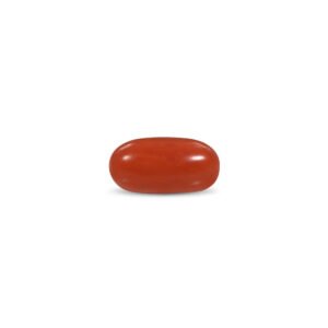 Red Coral - 15 Carat