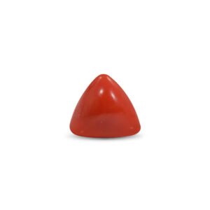 Red Coral - 22.2 Carat