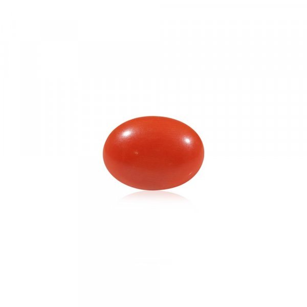 Red Coral - 4.68 Carat